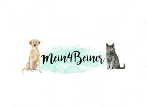 Logo Mein4Beiner